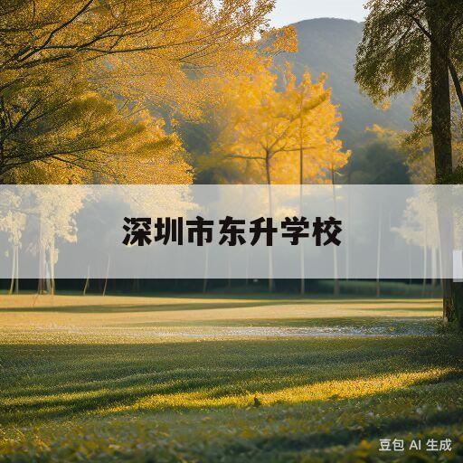 深圳市东升学校