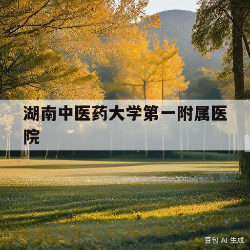 湖南中医药大学第一附属医院