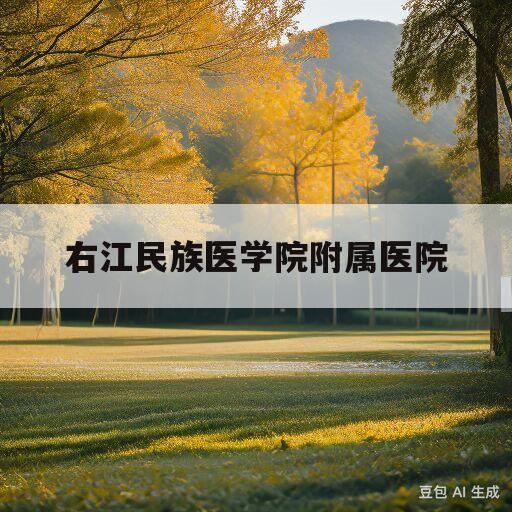 右江民族医学院附属医院的简单介绍